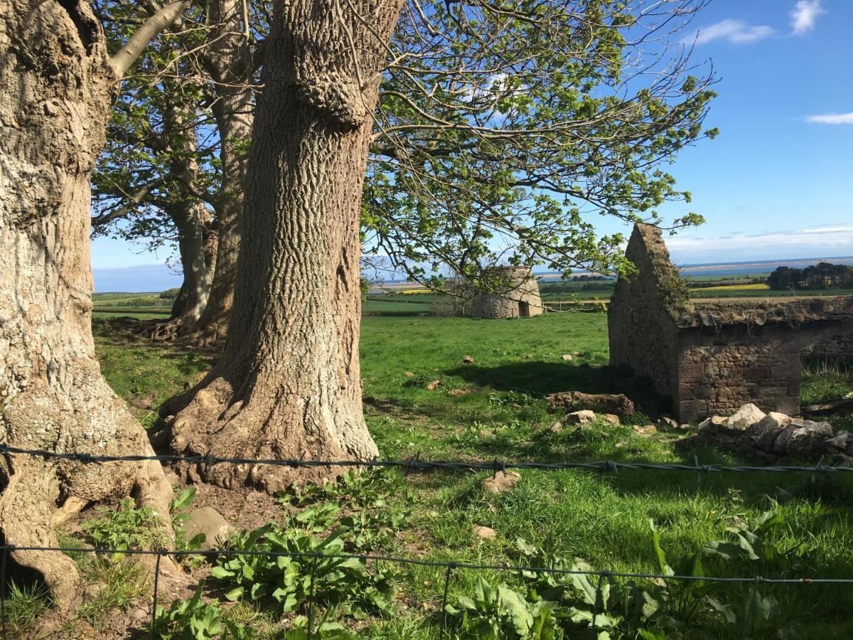 Buckton Farmhouse Belford Zewnętrze zdjęcie